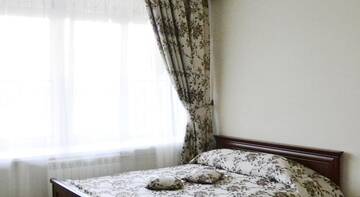 Фото номера Стандартный двухместный номер с 1 кроватью Гостиница Поручикъ Голицынъ г. Тольятти 36